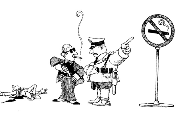 Click to enlarge image quino1.jpg