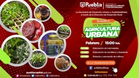 Habrá tres talleres virtuales para la producción de alimentos