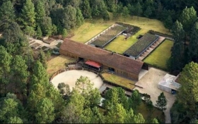 Ranchos de C&eacute;sar Duarte con ganado de programa social.