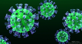 Vista 3D del virus MERS