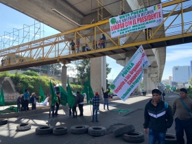 La zona del acceso al Parque Industrial  Finsa es una de las m&aacute;s afectadas 