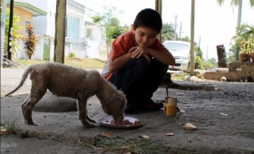 Sancionar&aacute;n a toda persona que tire desperdicios de comida.