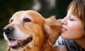  Personal de Protecci&oacute;n Animal realiza visitas de seguimiento a fin de garantizar el buen estado de la mascota adoptada