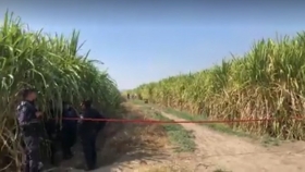 La zona fue acordonada por la polic&iacute;a municipal    