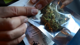 Fueron sorprendidos con dos kilos de marihuana